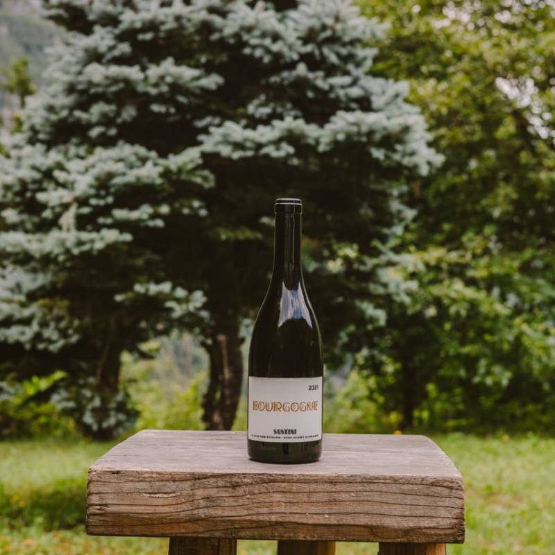 Bourgogne Blanc