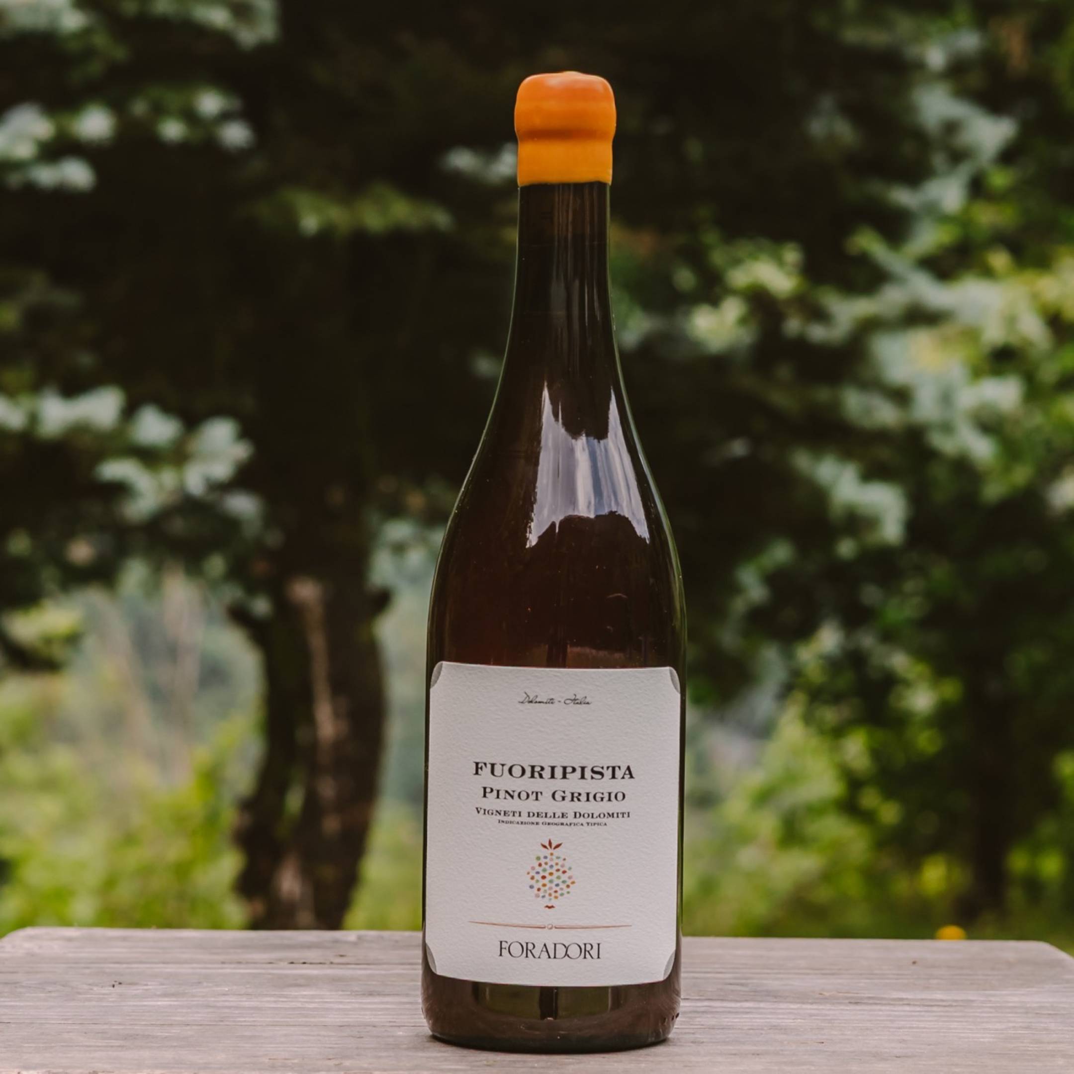Foradori Fuoripista Pinot Grigio