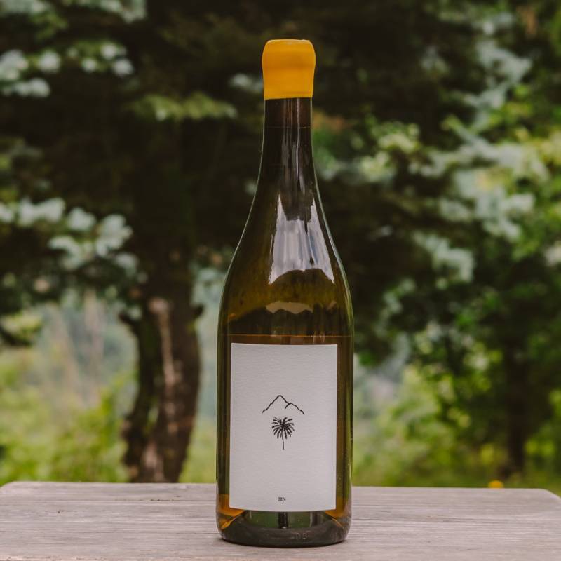Foradori Manzoni Bianco