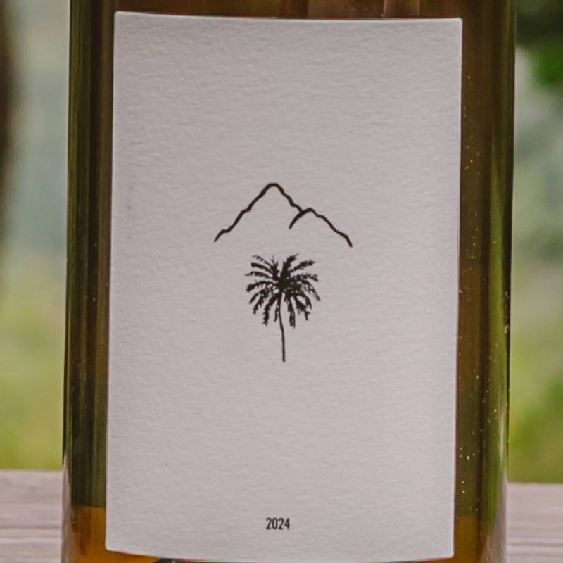 Foradori Manzoni Bianco