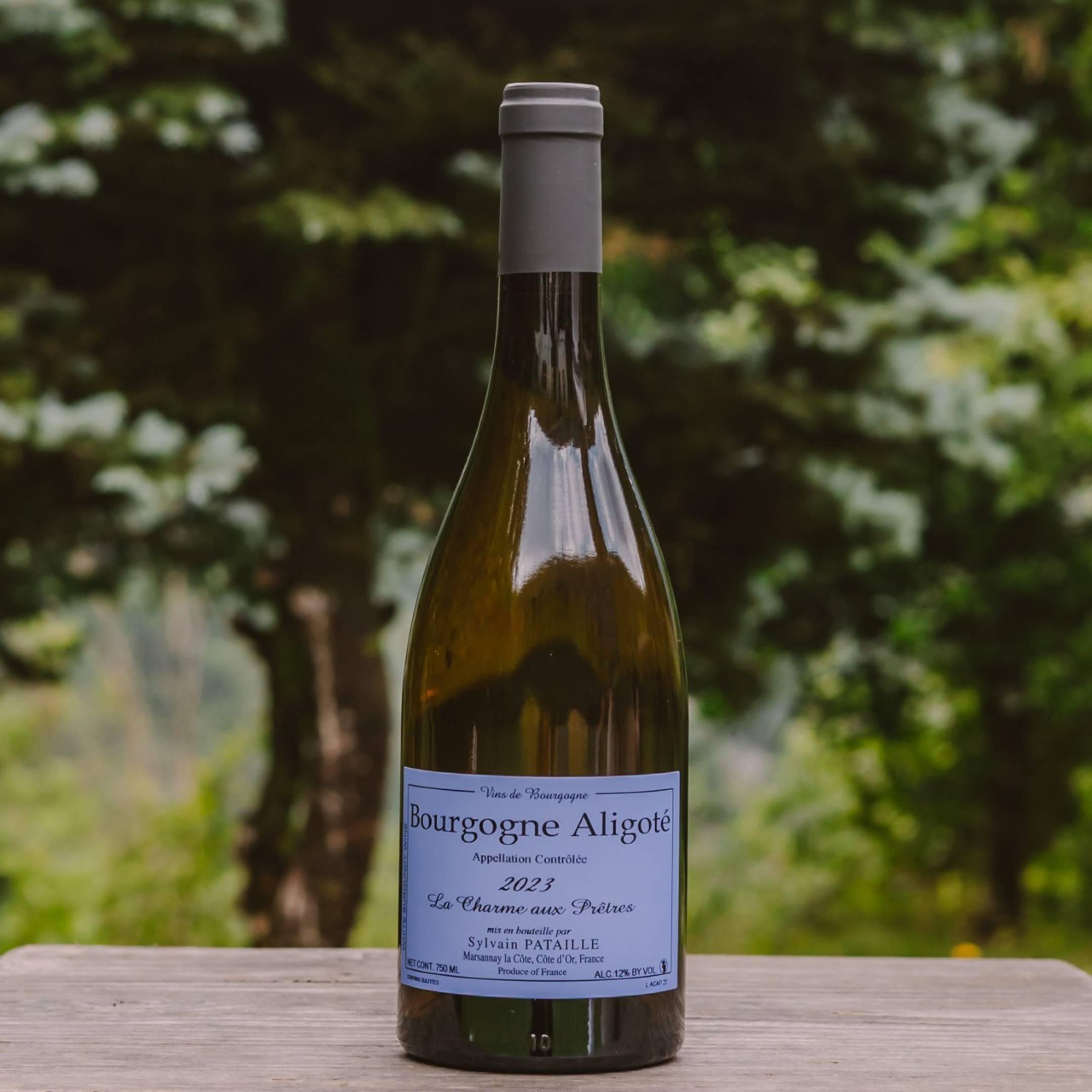 Sylvain Pataille Bourgogne Aligote La Charme aux Pretres