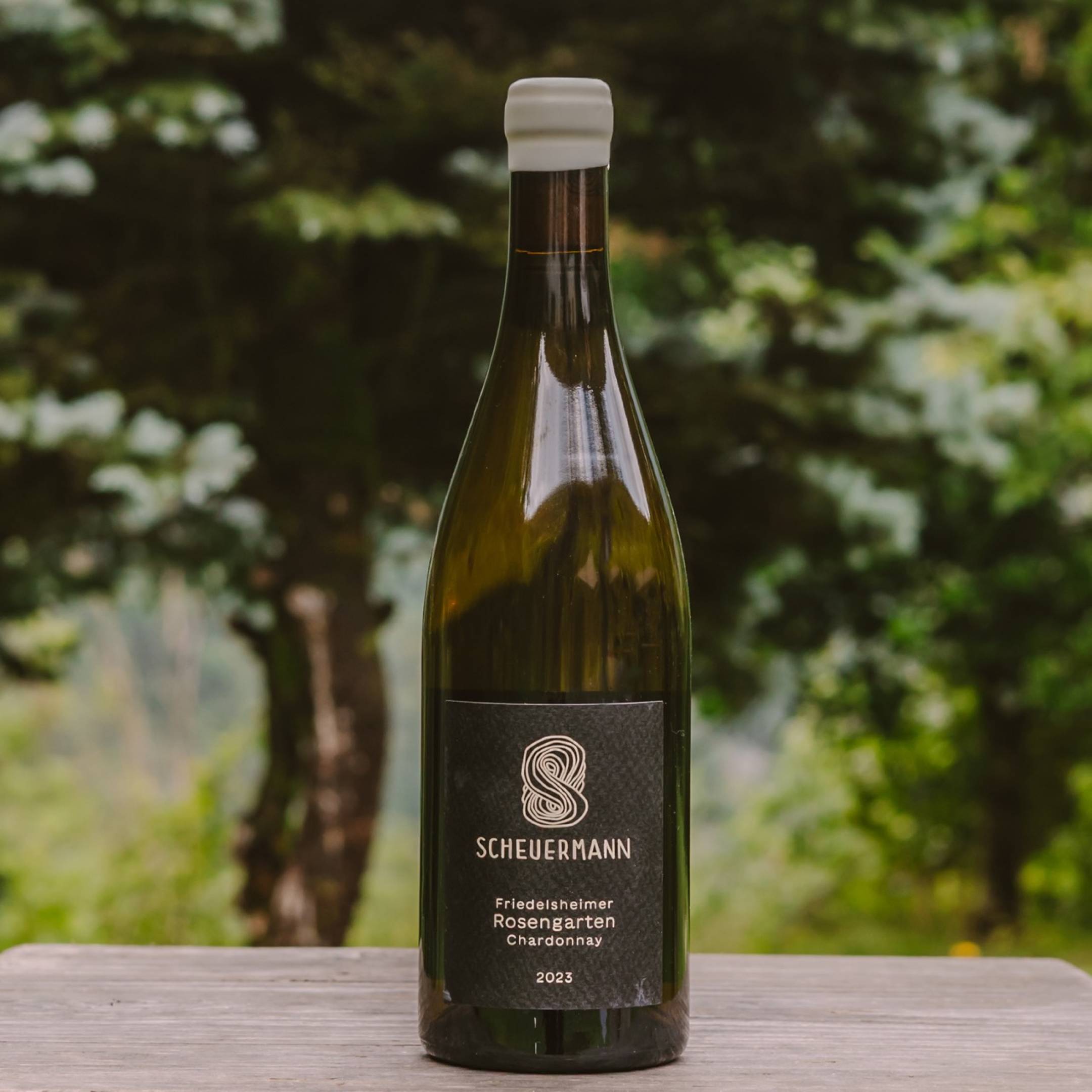 Scheuermann Chardonnay Friedelsheimer Rosengarten