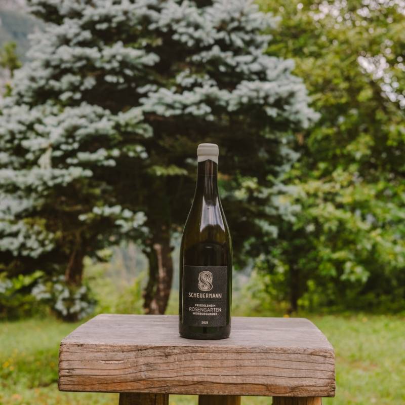 Friedelsheim Weissburgunder Rosengarten