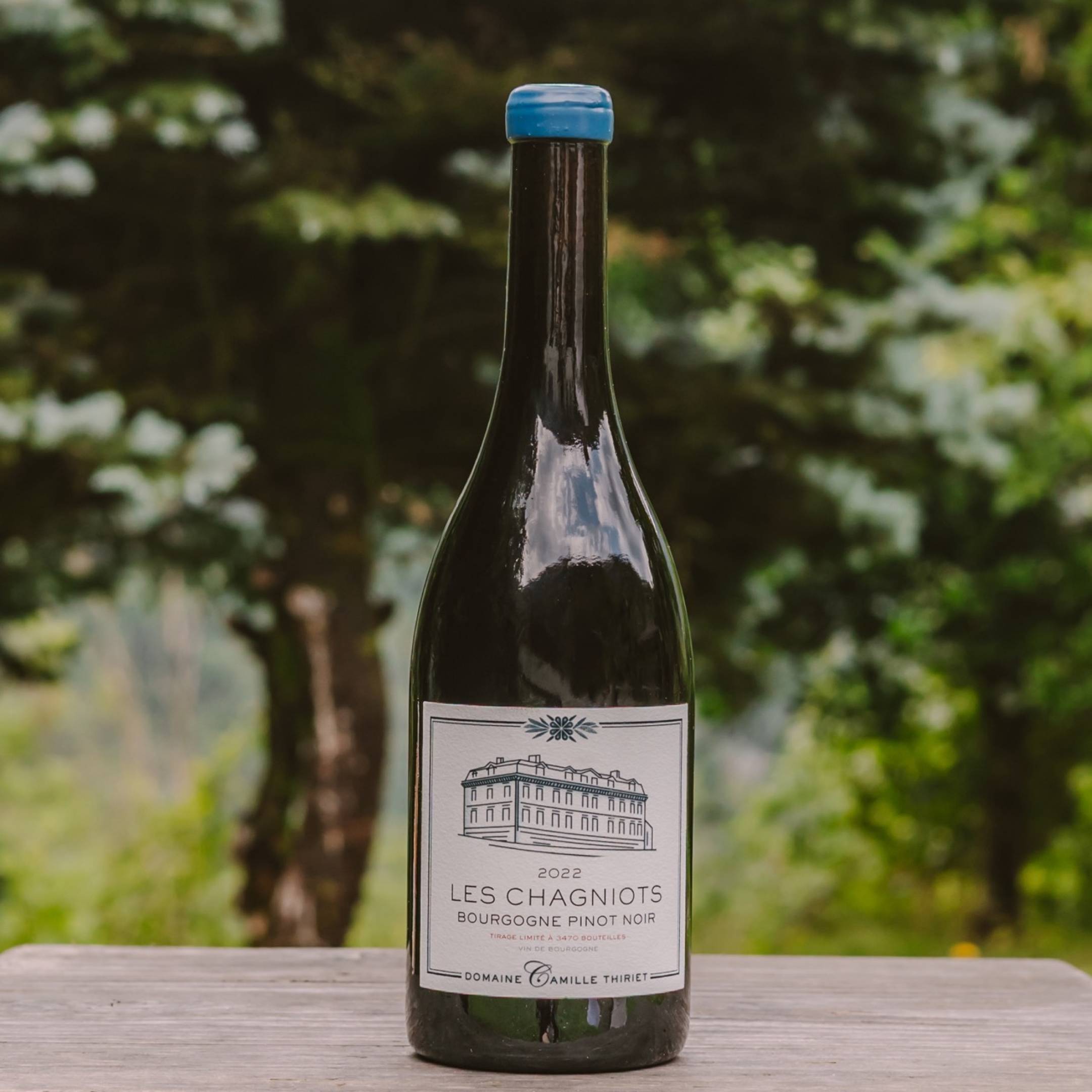 Domaine C.Thiriet Bourgogne Pinot Noir Les Chaignots