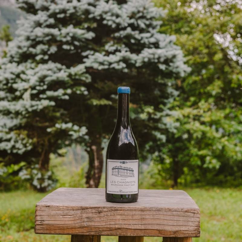 Bourgogne Pinot Noir Les Chaignots