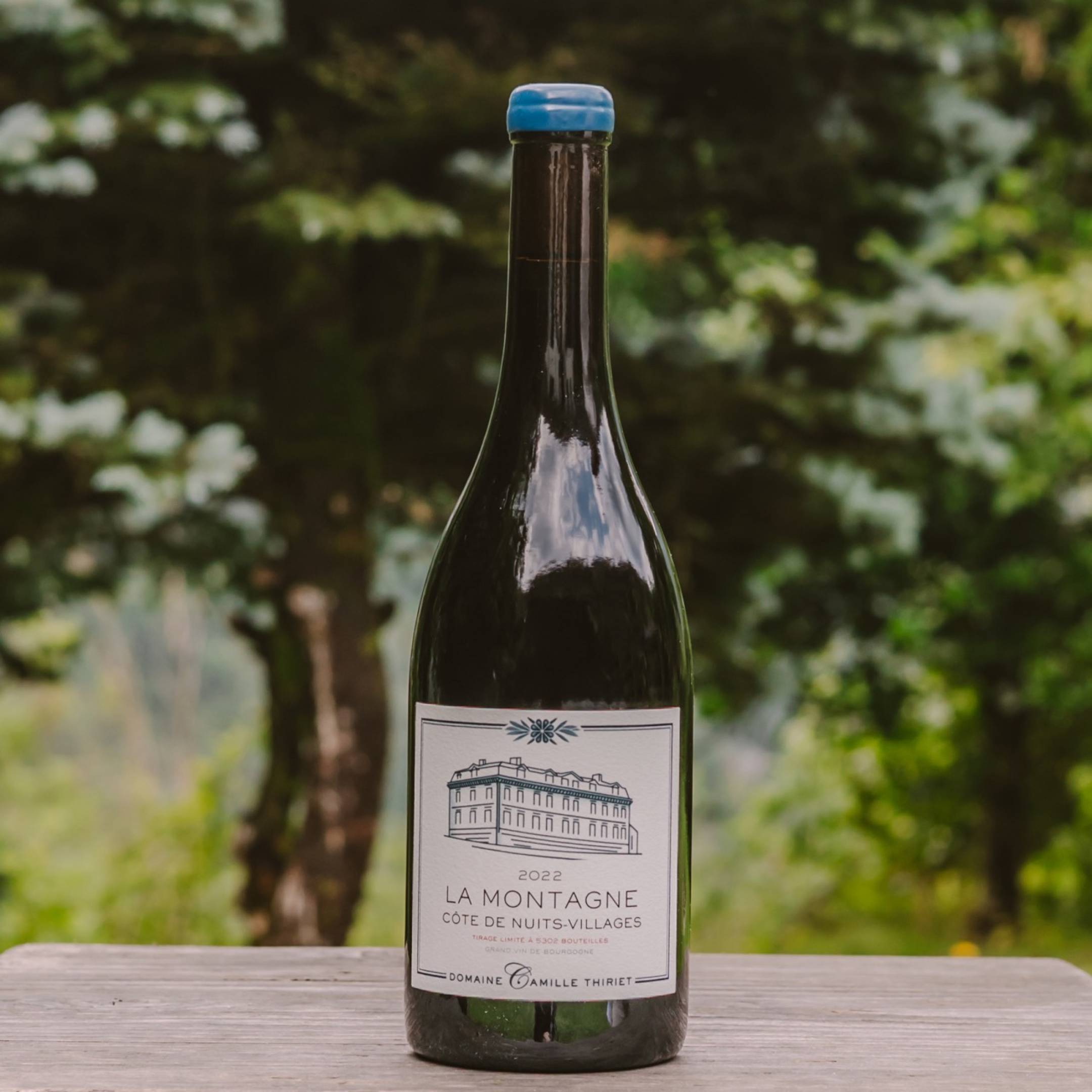 Domaine C.Thiriet Cote de Nuits La Montagne