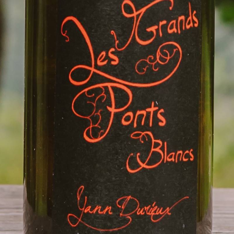 Les Grands Ponts Blancs 2023