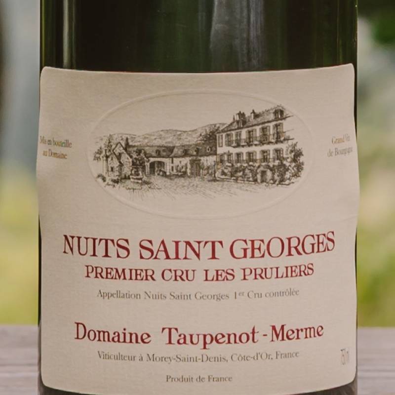 Nuit Saint Georges 1er Cru Les Pruliers 2021