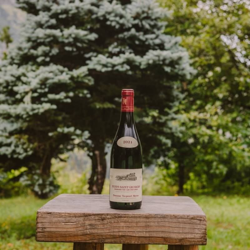 Nuit Saint Georges 1er Cru Les Pruliers 2021