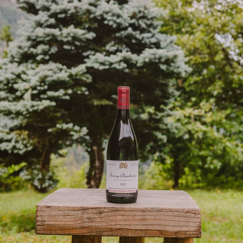 Gevrey Chambertin 2023