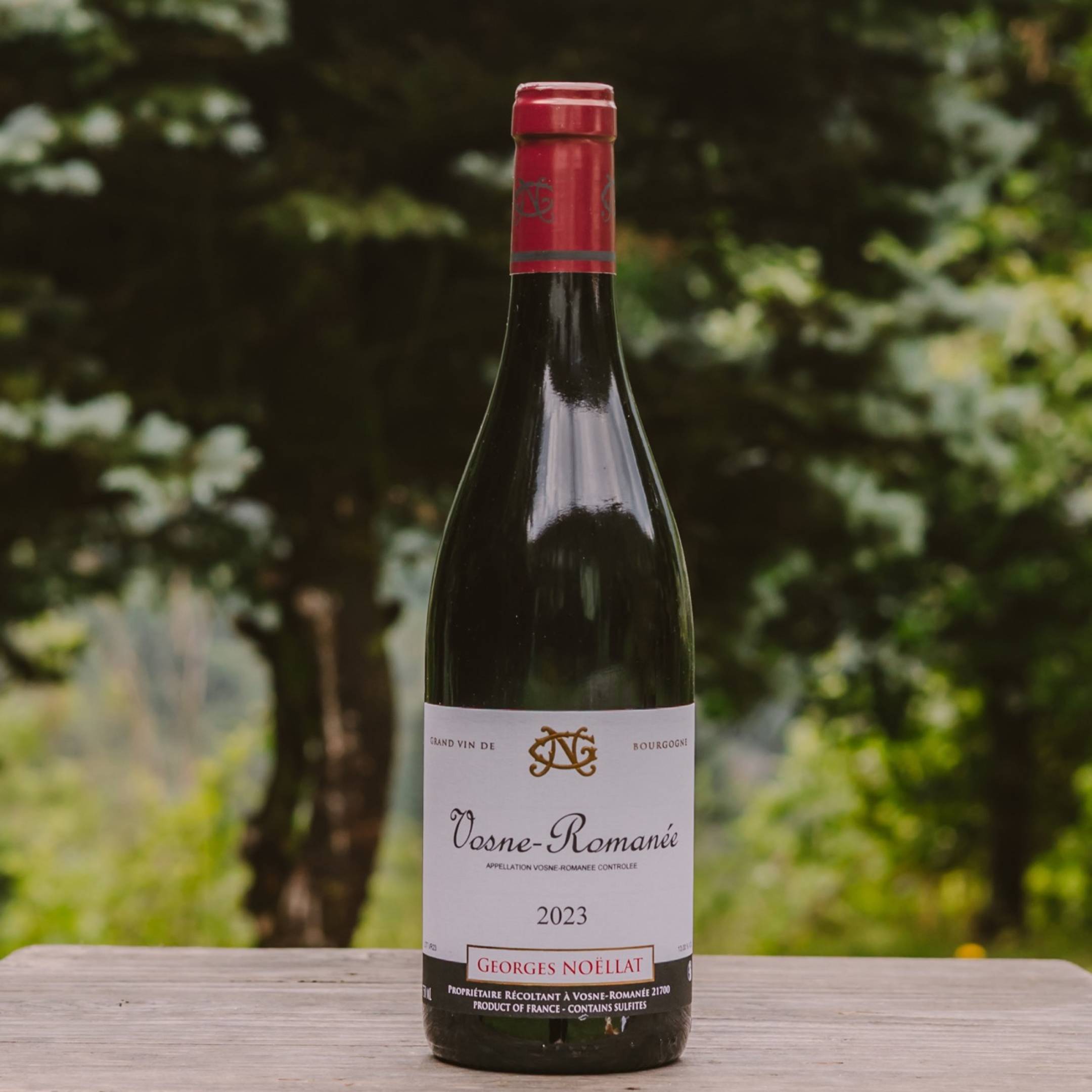Georges Noellat Vosne Romanee 2023