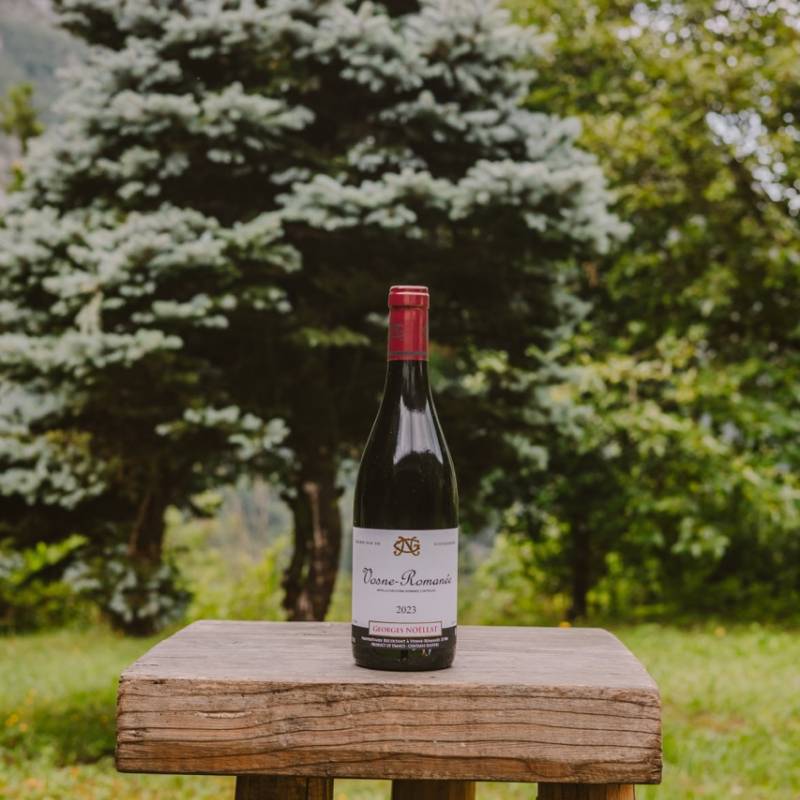 Vosne Romanee 2023