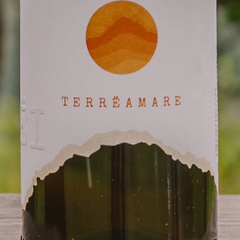 Terremare 2024