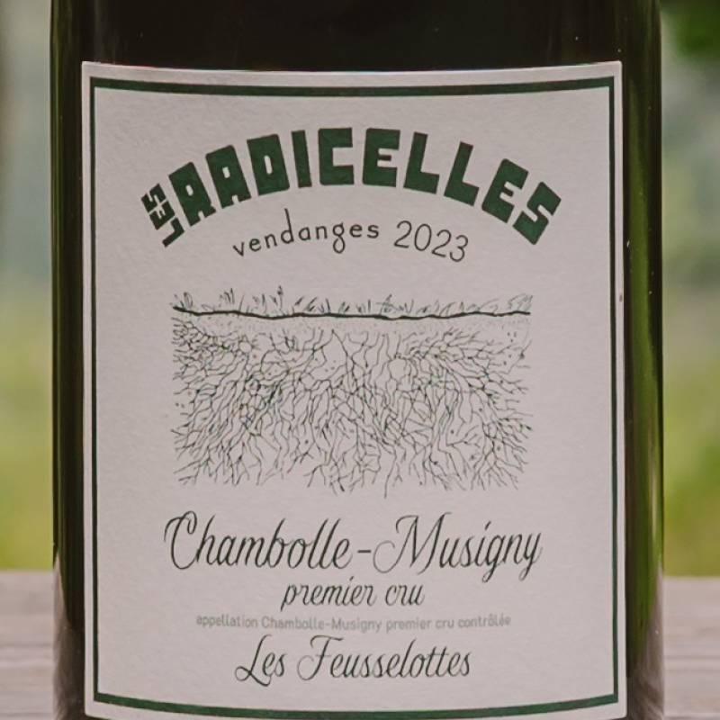 Chambolle Musigny 1er Cru Les Feusselottes
