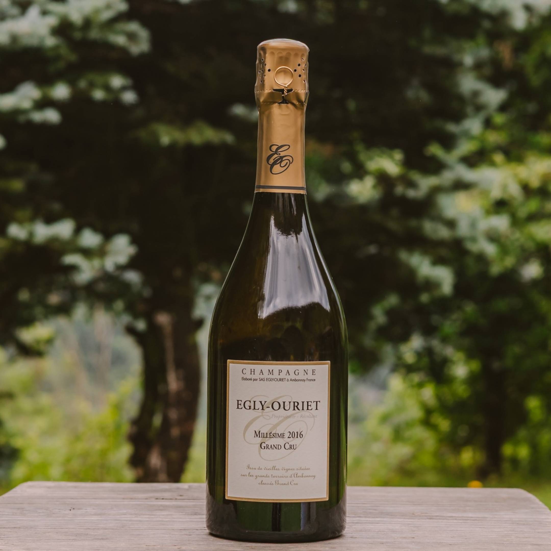 Egly-Ouriet Grand Cru Millesimato