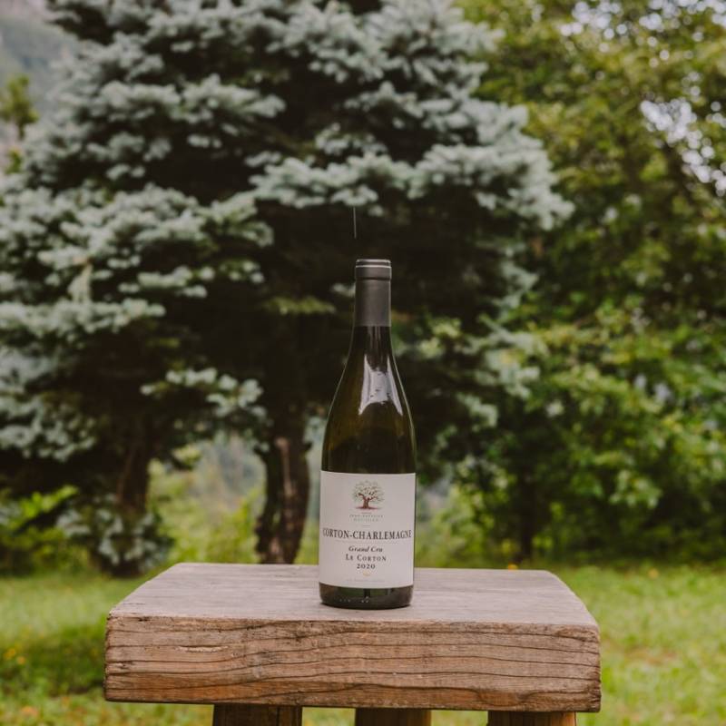 Corton Charlemagne Grand Cru Le Corton 2020