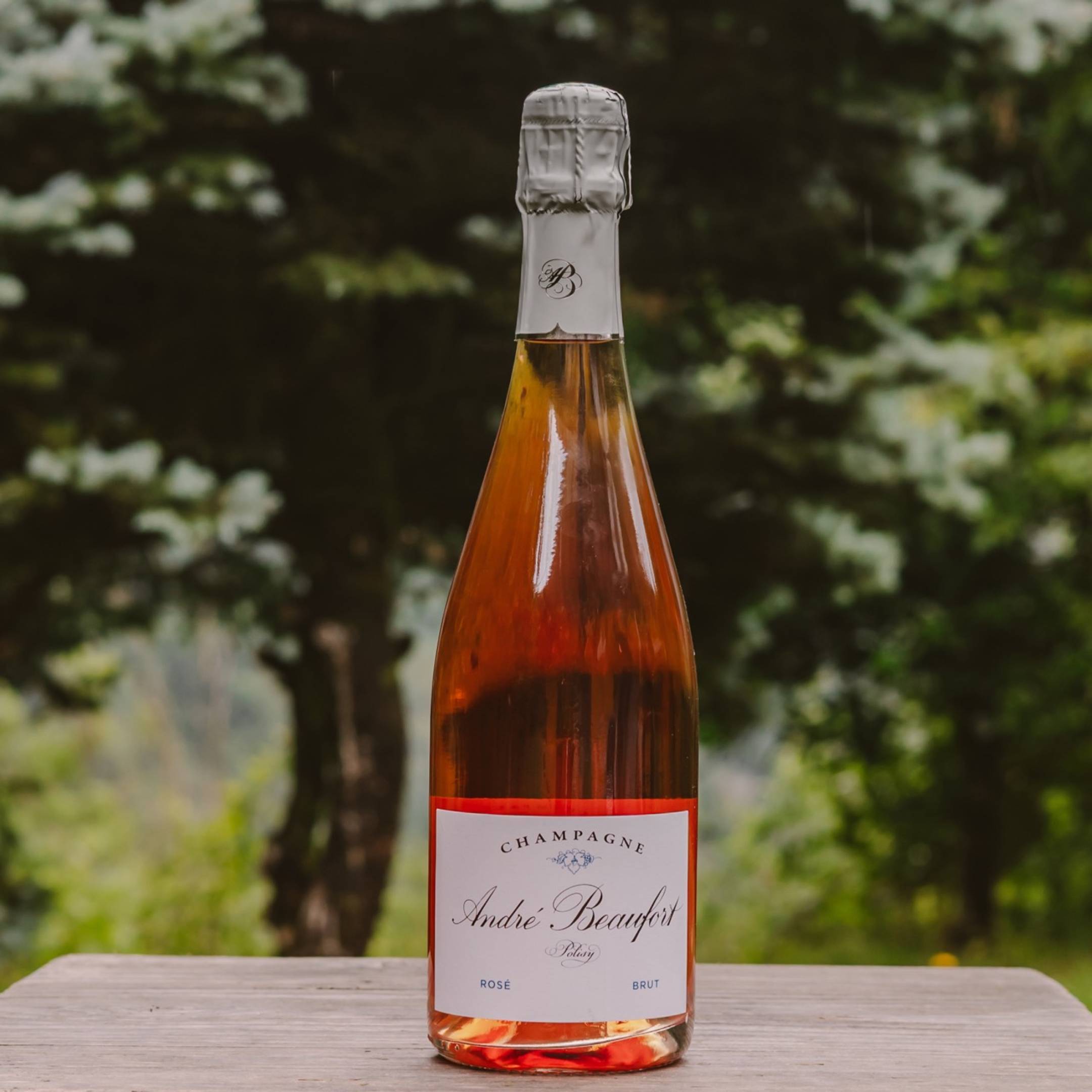 Andre Beaufort Polisy Rose Reserve