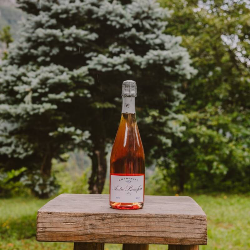 Polisy Rose Reserve