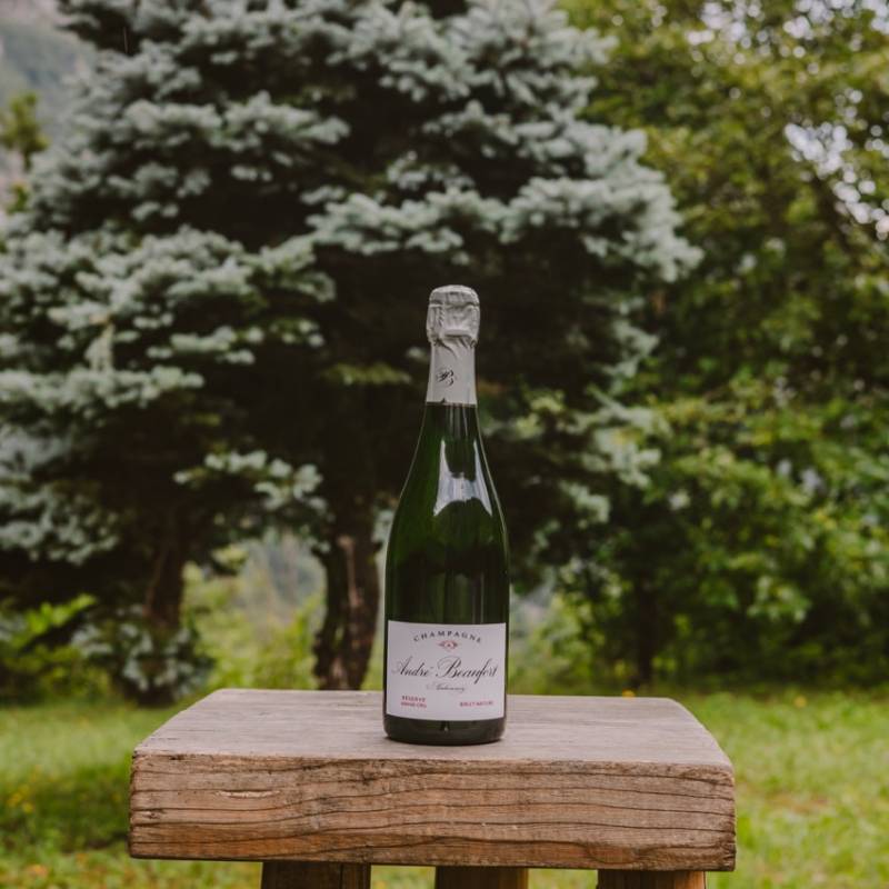 Ambonnay Reserve Grand Cru