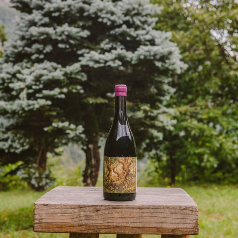 Pinot Nero Inalto
