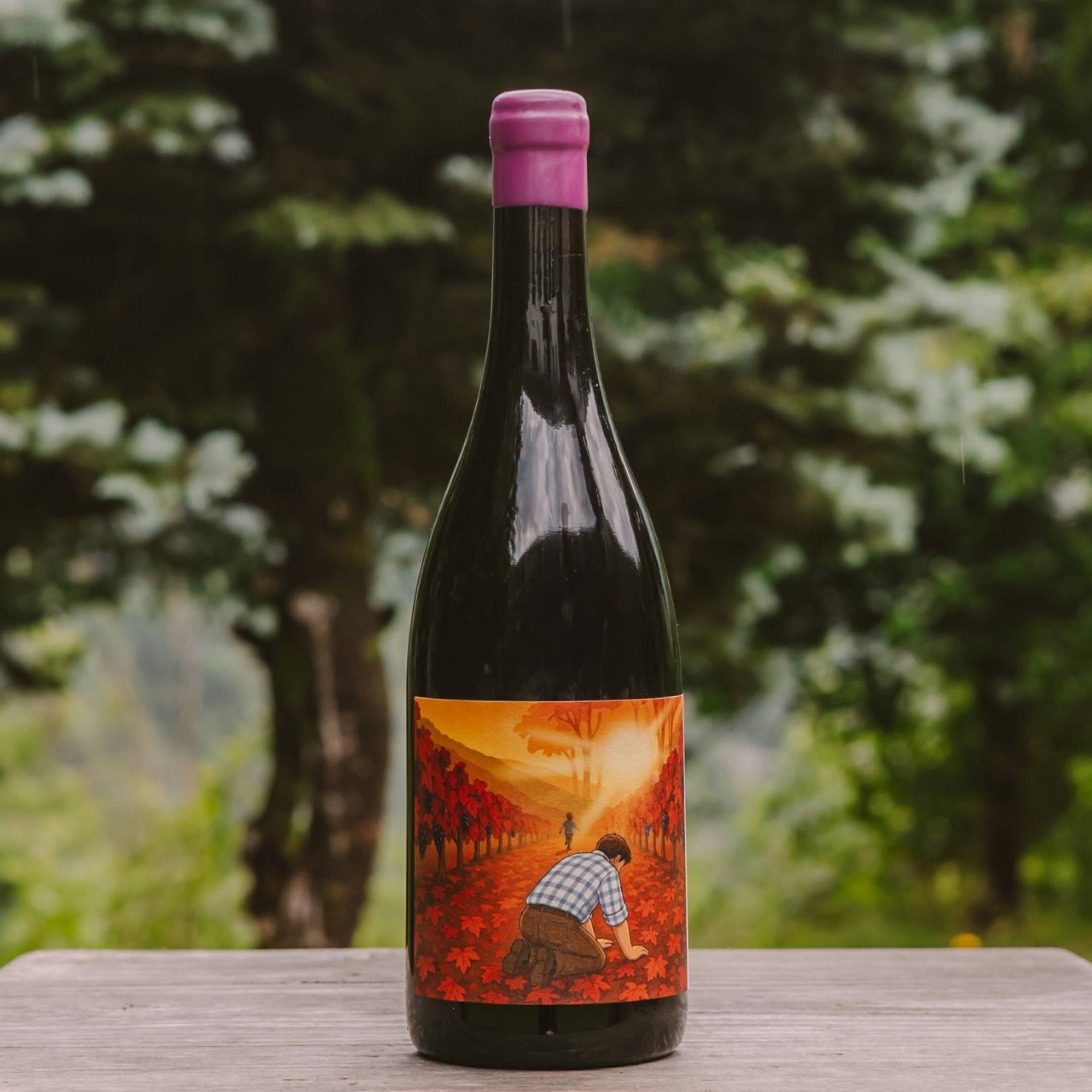 Fausto Andi Pinot Nero Vecchie Vigne