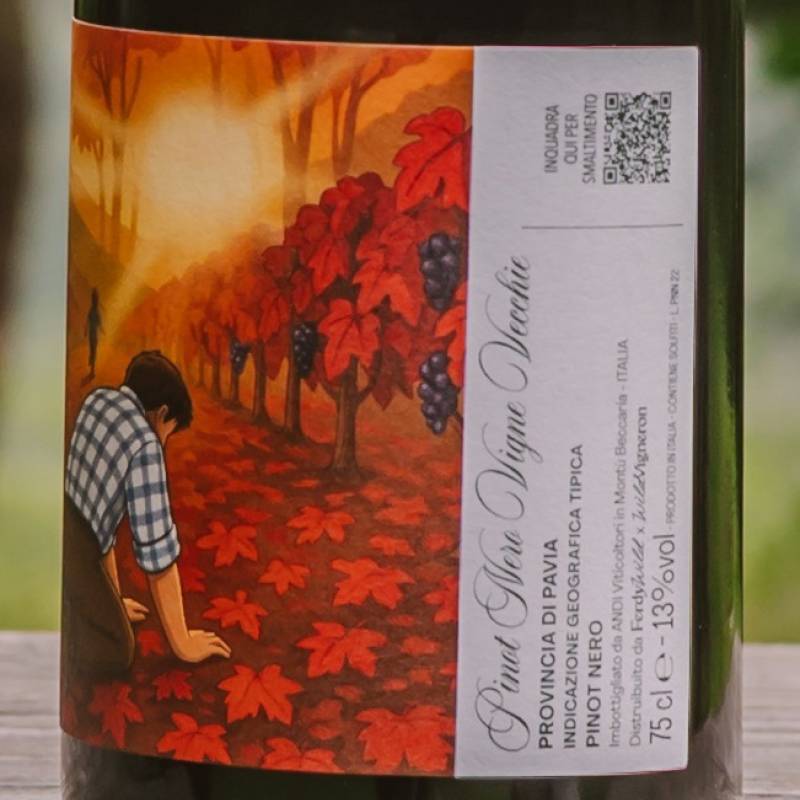 Pinot Nero Vecchie Vigne