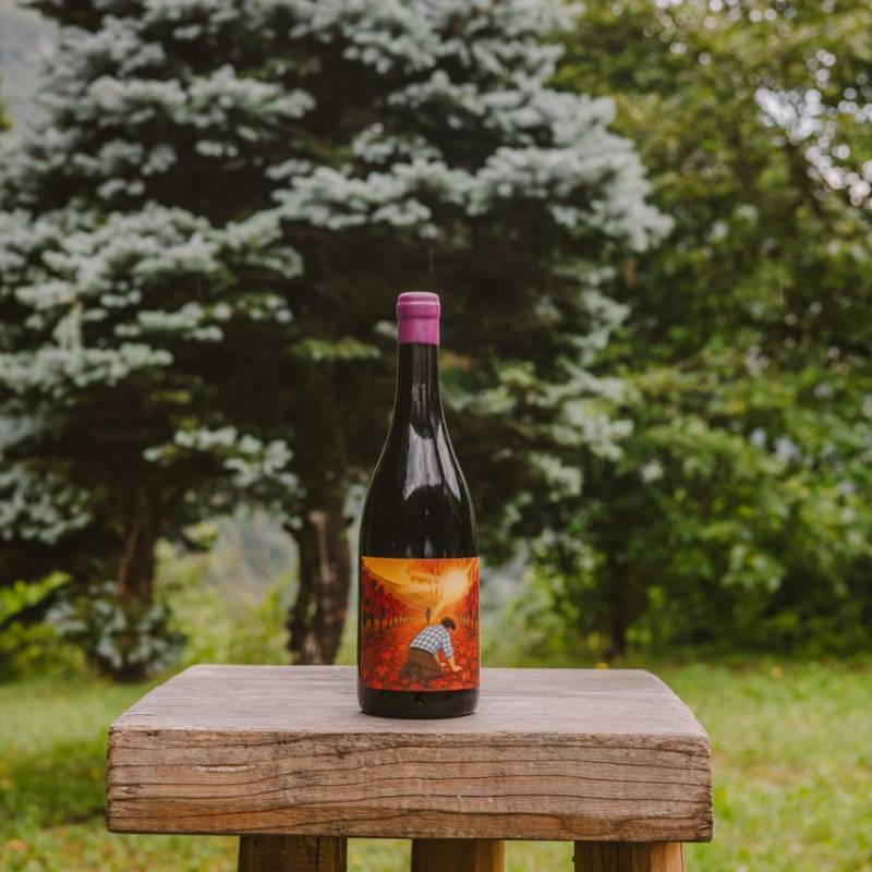 Pinot Nero Vecchie Vigne