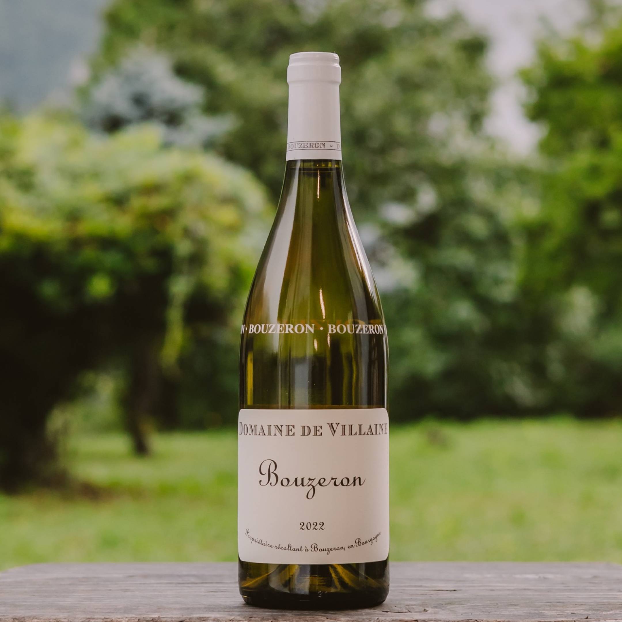 Domaine de Villaine Bouzeron Aligote BIO 2022