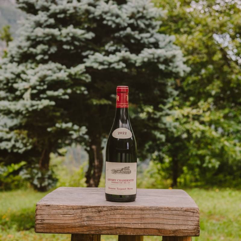 Gevrey Chambertin 1er Cru Bel Air 2022