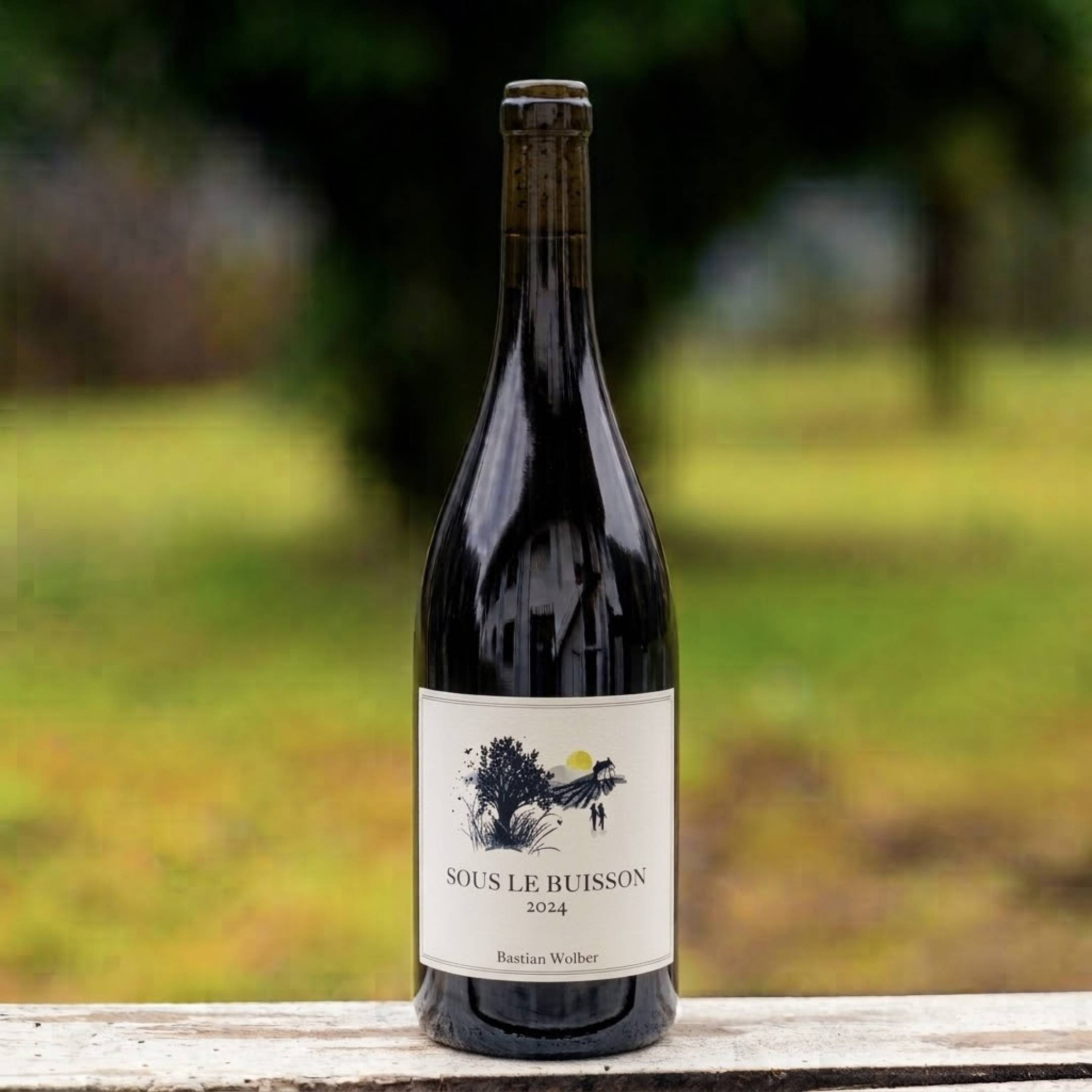 Bastian Wolberg Sous Buisson Bourgogne Chardonnay a Ladoix Blanc