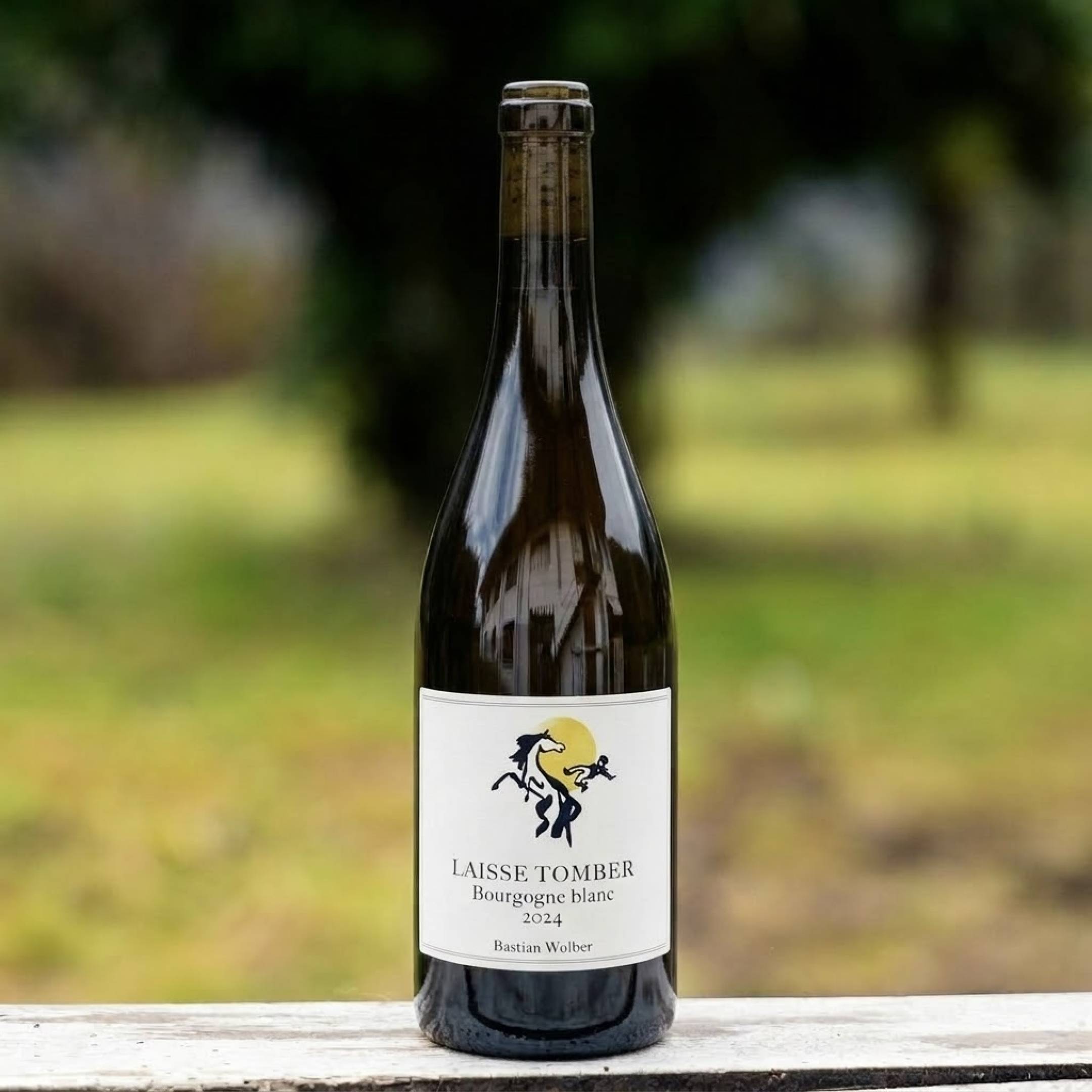 Bastian Wolberg Bourgogne Blanc
