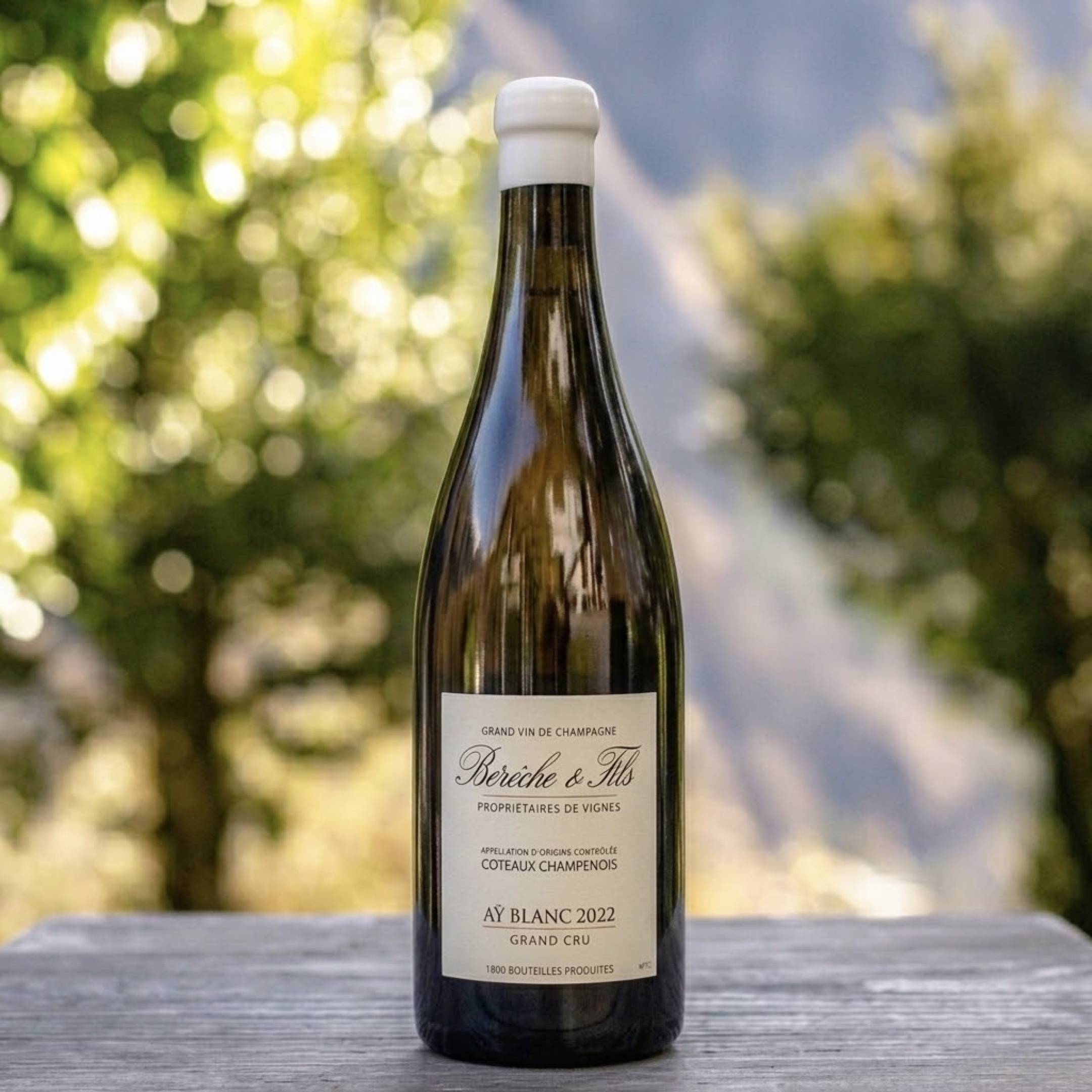 Bereche et Fils Coteaux Champenois Blanc Ay GC