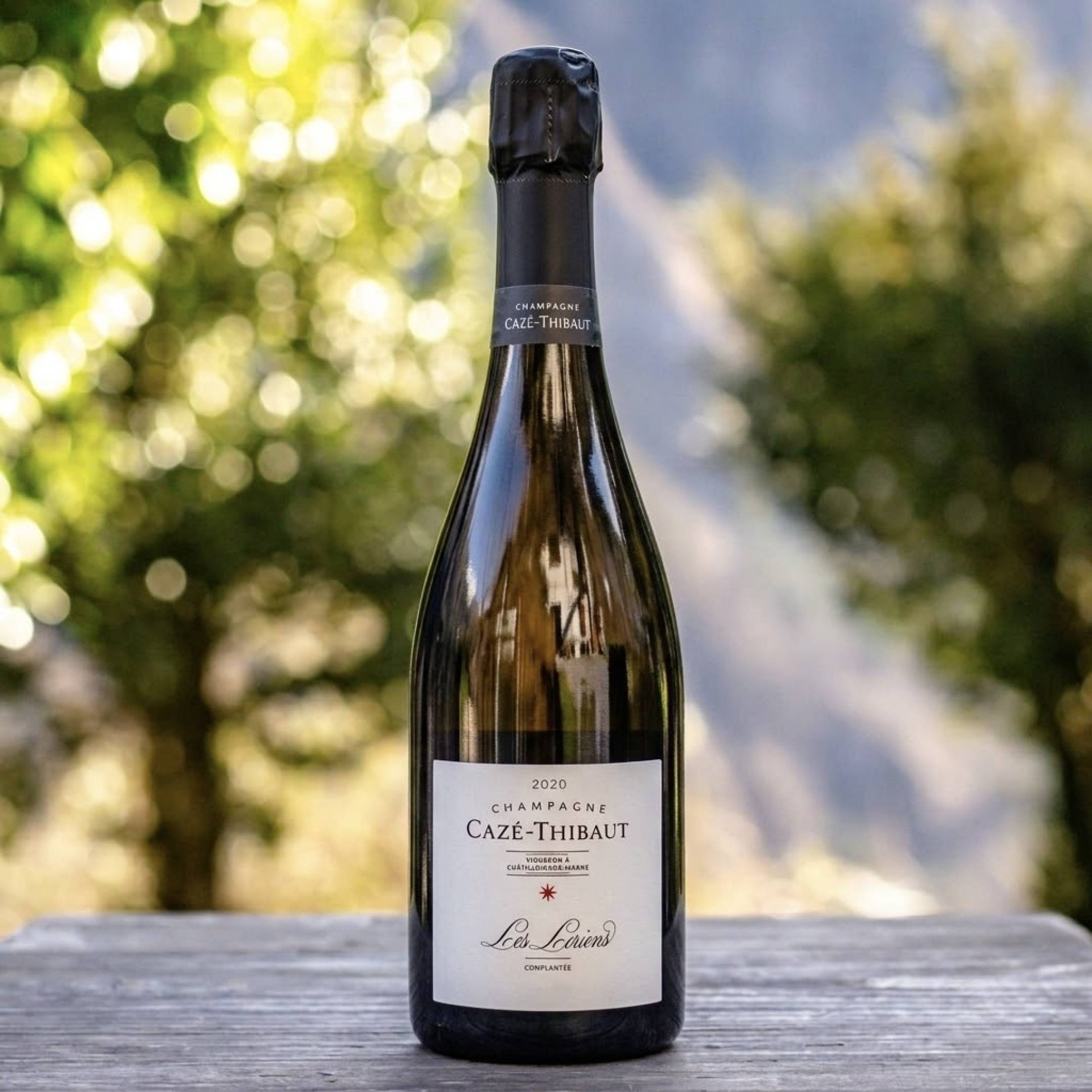 Caze-Thibault Champagne Les Leriens