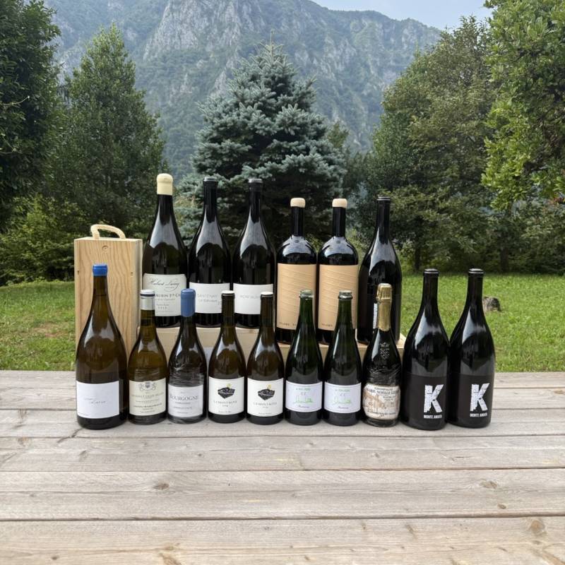 WILD VIGNERON DROP - Summer Hits
