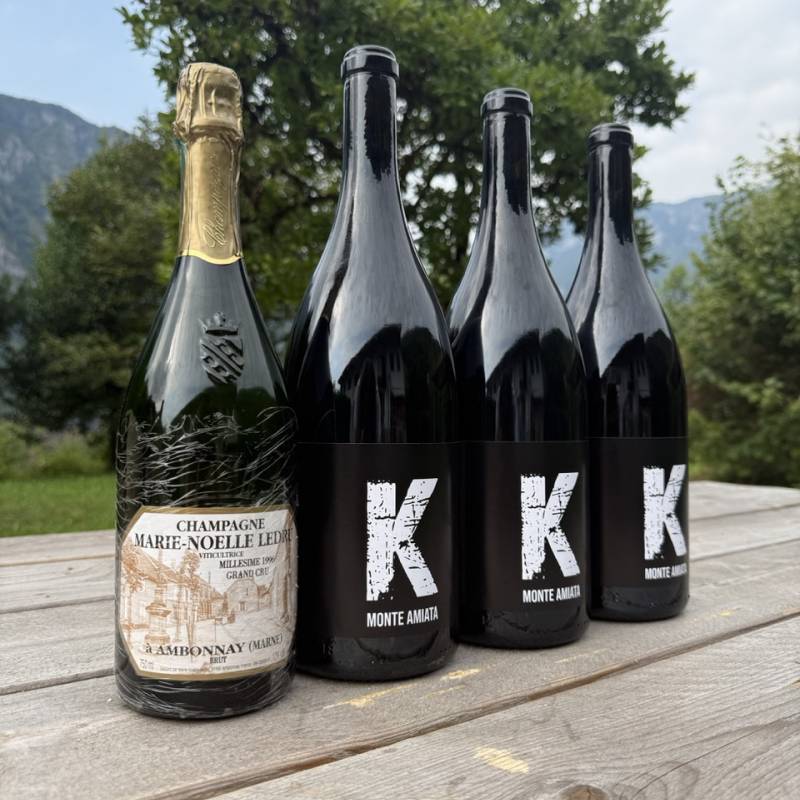 WILD VIGNERON DROP - Summer Hits