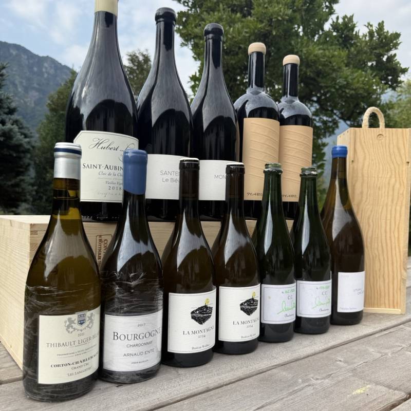 WILD VIGNERON DROP - Summer Hits