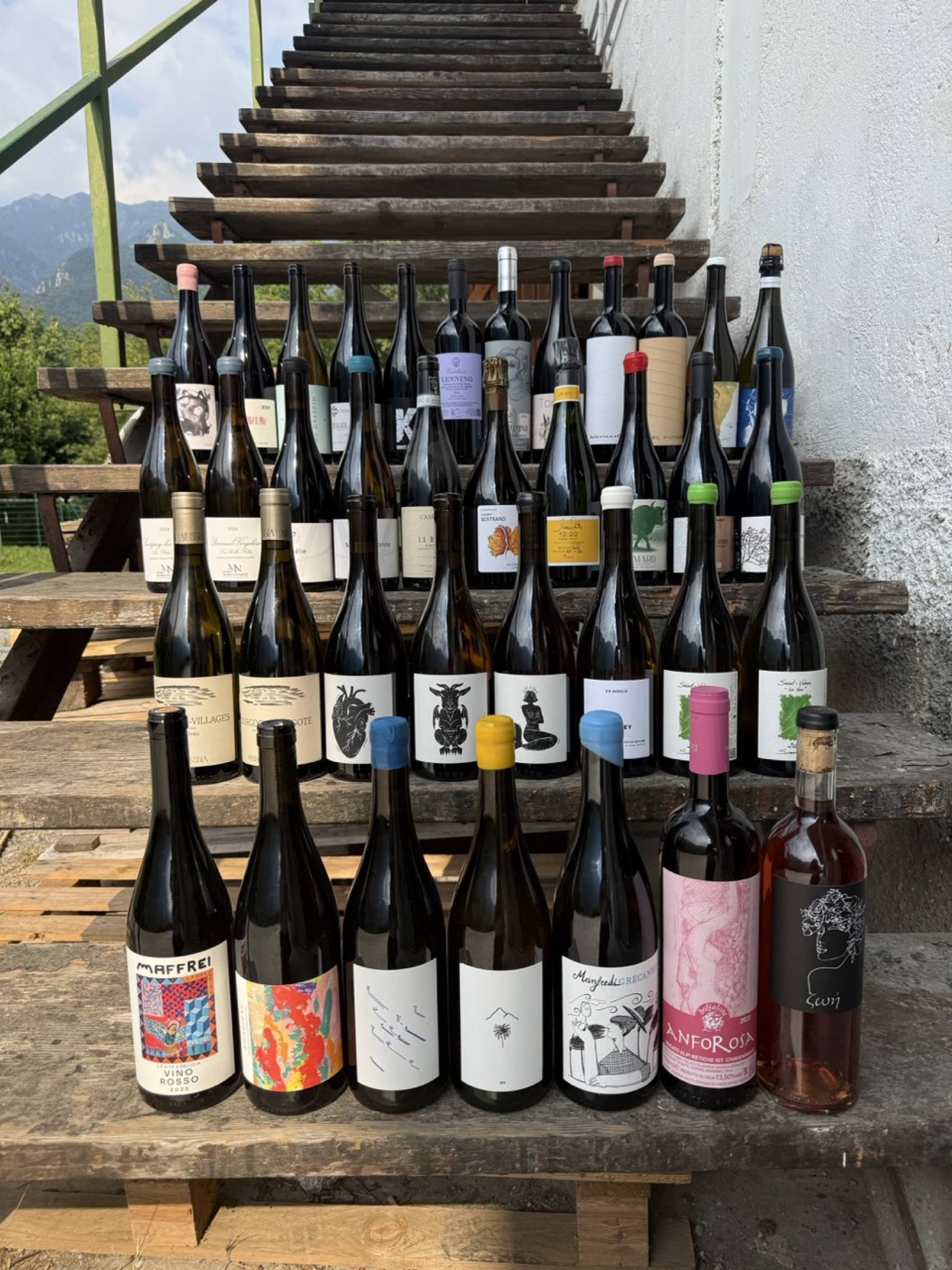 WILD VIGNERON DROP - Summer Hits