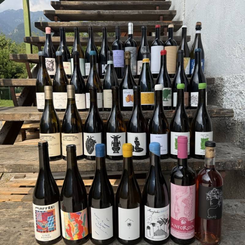 WILD VIGNERON DROP - Summer Hits