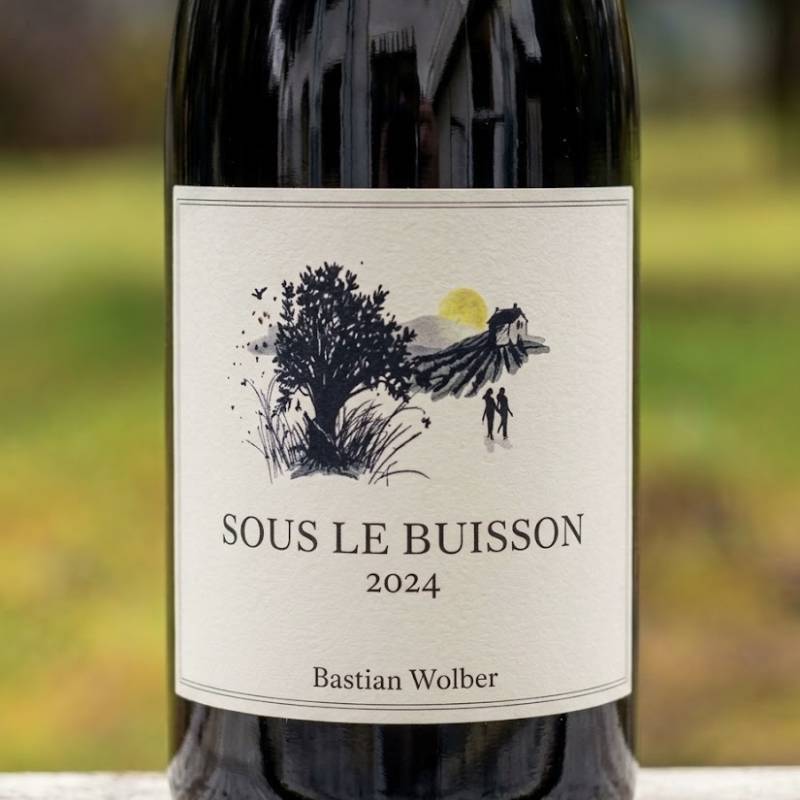 Sous Buisson Bourgogne Chardonnay a Ladoix Blanc
