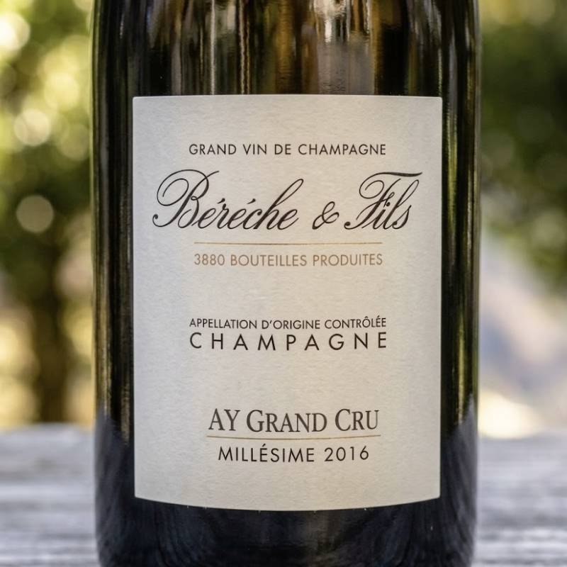 Ay Grand Cru 2016