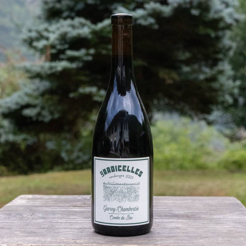 Gevrey Chambertin Combe du Bas