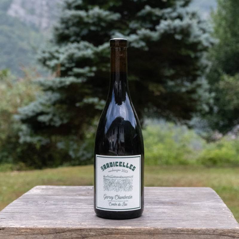 Gevrey Chambertin Combe du Bas