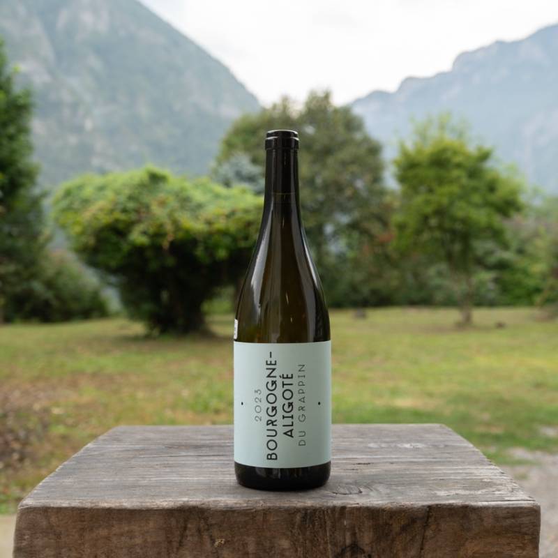 Bourgogne Aligote