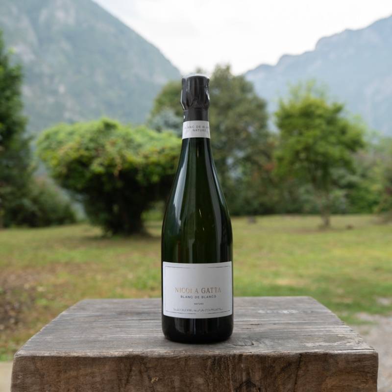 Blanc de Blancs