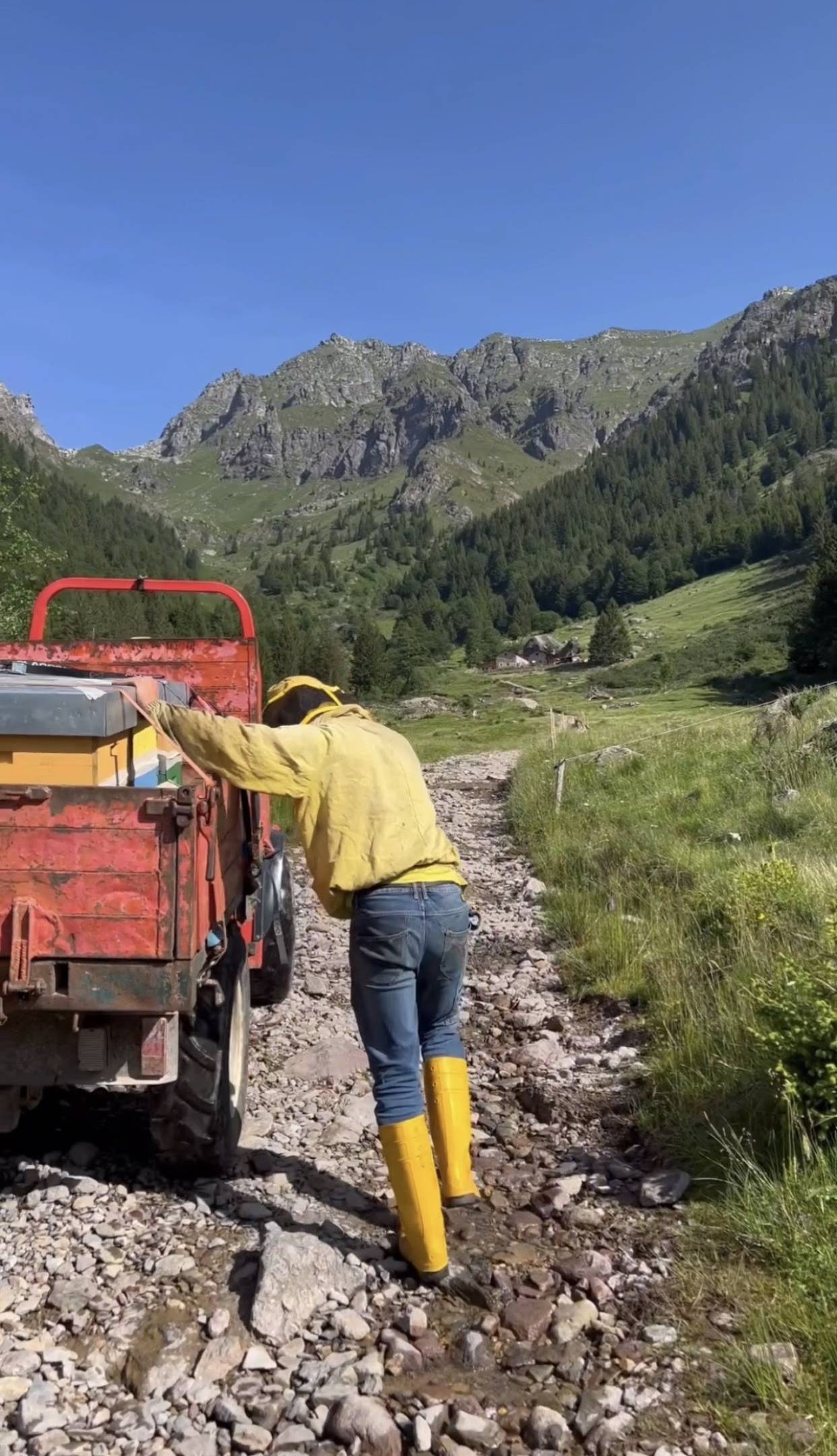 È tornato il miele d'alpeggio Val d'Inferno 2026