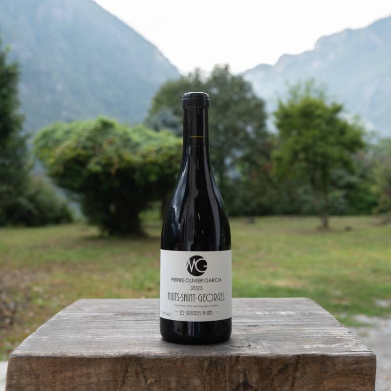 Nuits-Saint-Georges Les Grands Vignes
