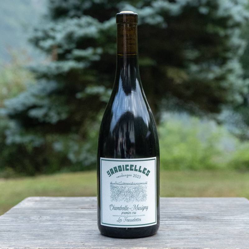 Chambolle Musigny 1er Cru Les Feusselottes