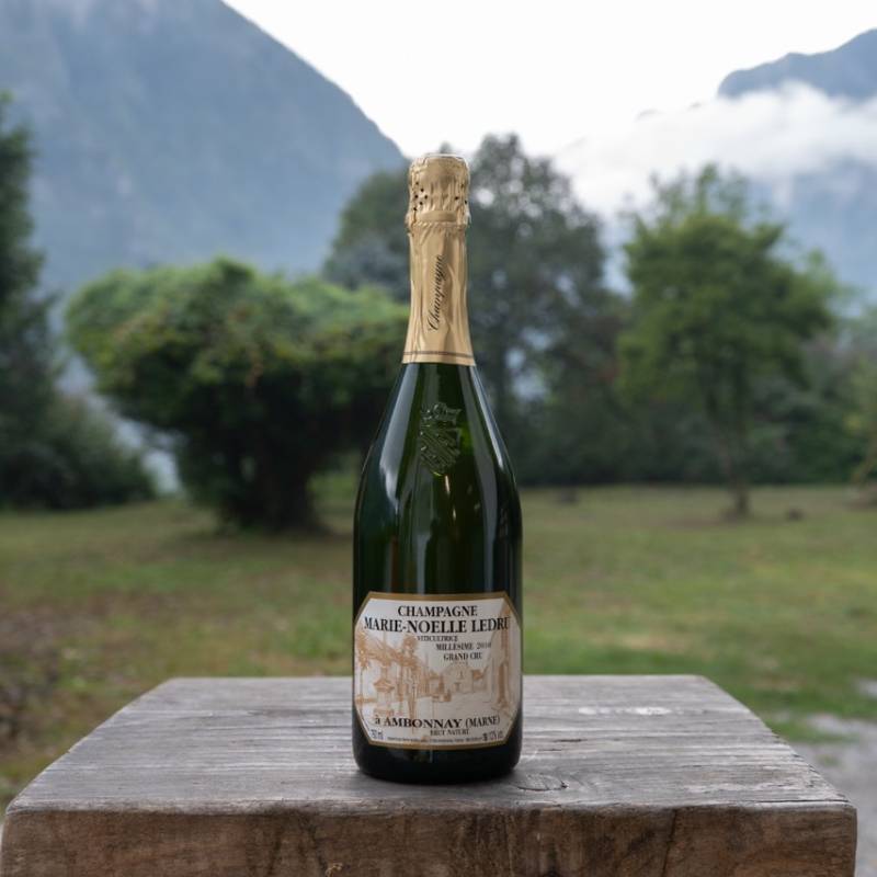 Champagne Millesime Grand Cru 2010