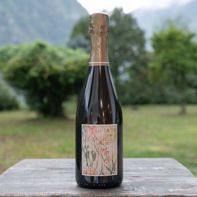 Champagne Blanc de Blancs
