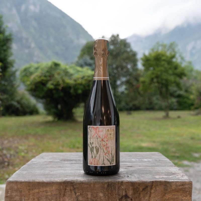 Champagne Blanc de Blancs